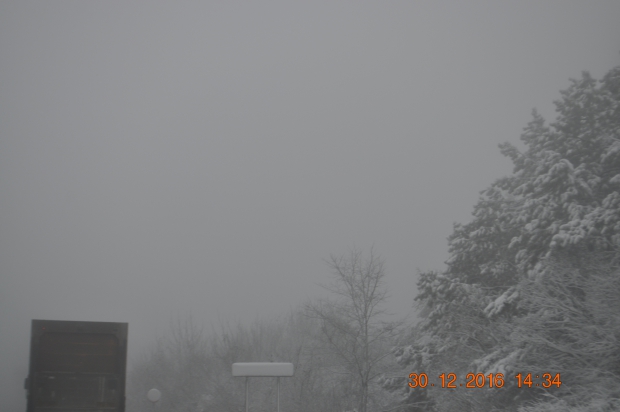 DSC_9668.JPG