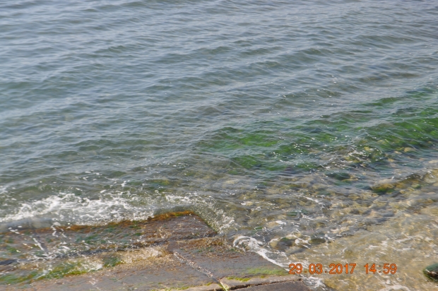 DSC_9994.JPG