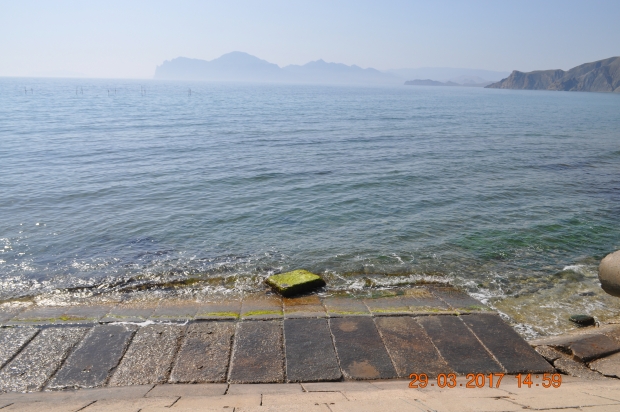 DSC_9993.JPG