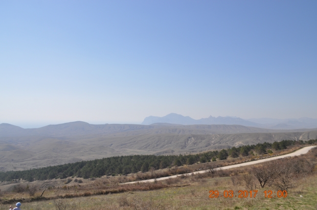 DSC_9977.JPG