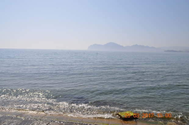 DSC_0004.JPG