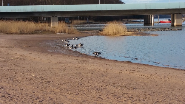 20170408_083611.jpg