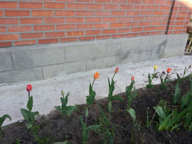 IMG-20170415-WA0012.jpg