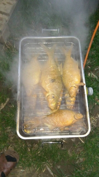 image-1492688863453-V.jpg