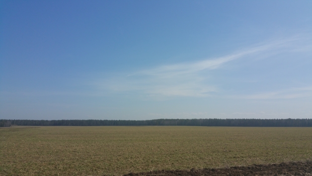 20170429_122002.jpg