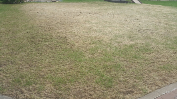 20170506_095158.jpg