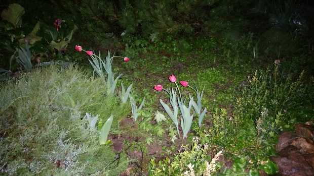 20150516_221847.jpg