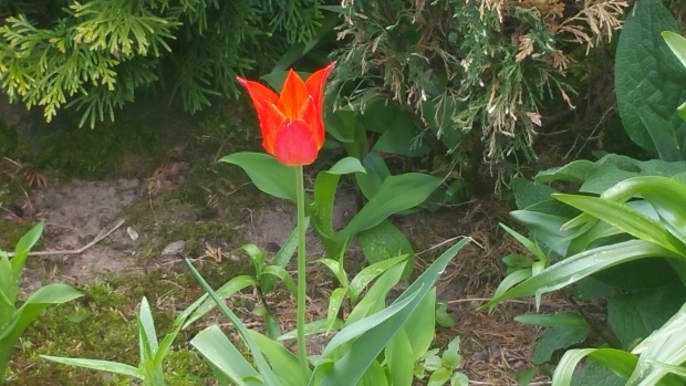 20170525_083210.jpg