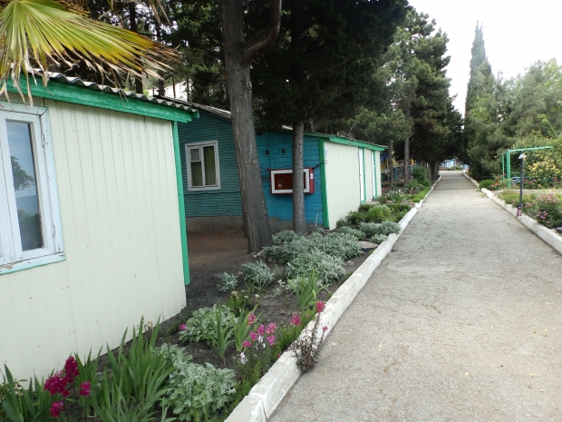 P1011450.JPG