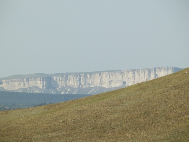 P1011659.JPG
