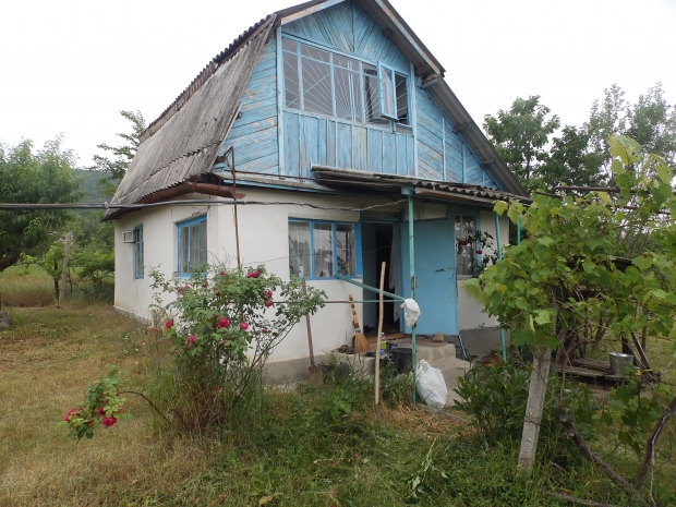 P1011669.JPG