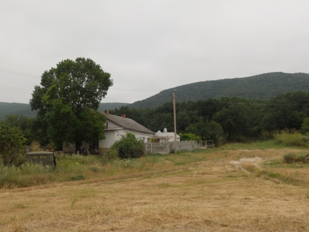 P1011672.JPG
