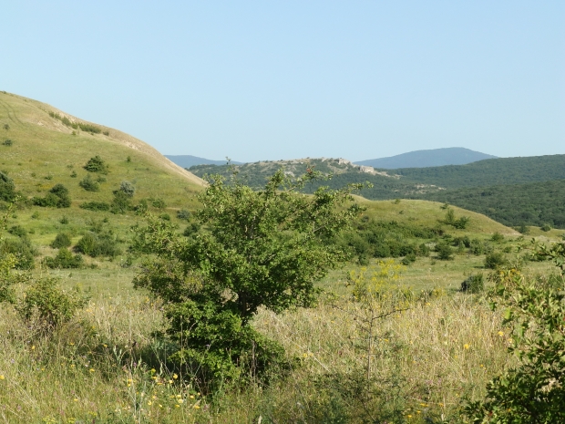 P1011662.JPG