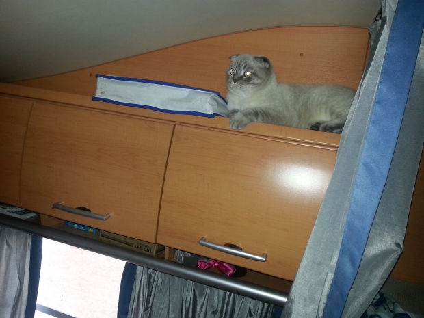 20170717_094559.jpg