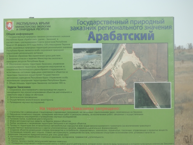 P1011782.JPG