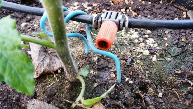 20150513_193244.jpg