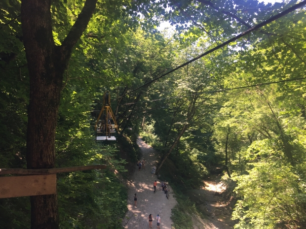 2017-07-12 11.24.36 (1).JPG