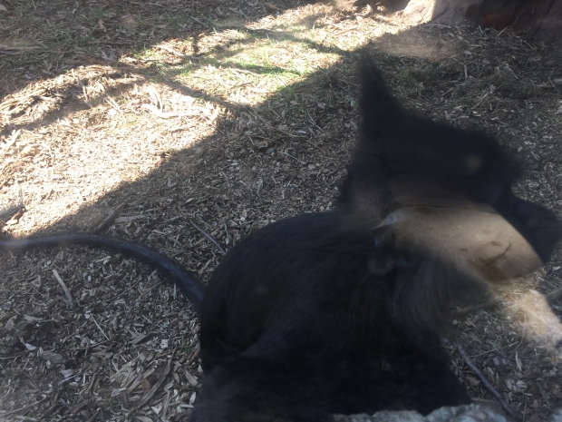 2017-07-13 14.32.13.JPG