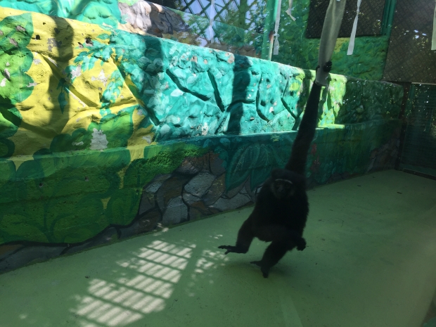 2017-07-13 15.37.38.JPG