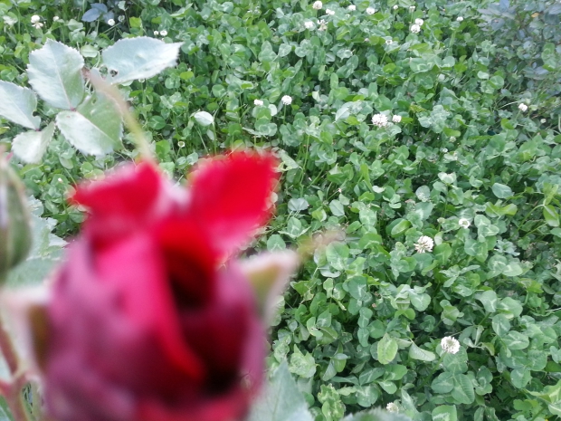 20150524_190741.jpg