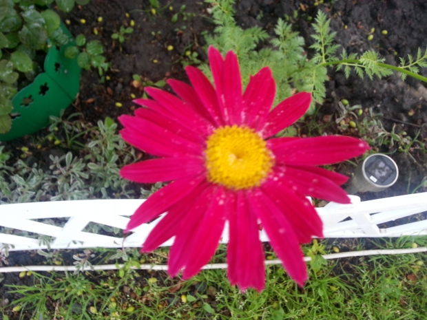20150524_190624.jpg