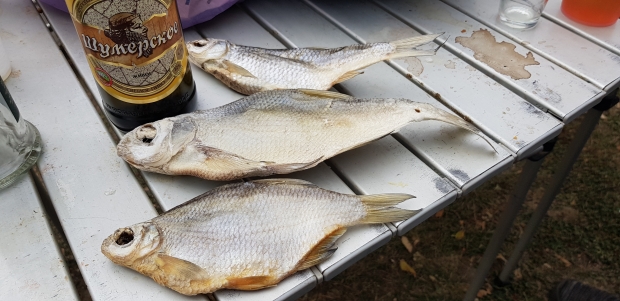 20170928_130643.jpg