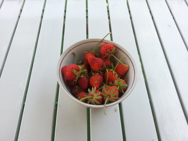20150526_141044.jpg
