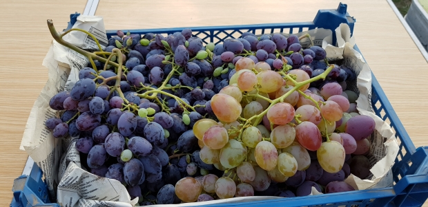 20170928_170002.jpg