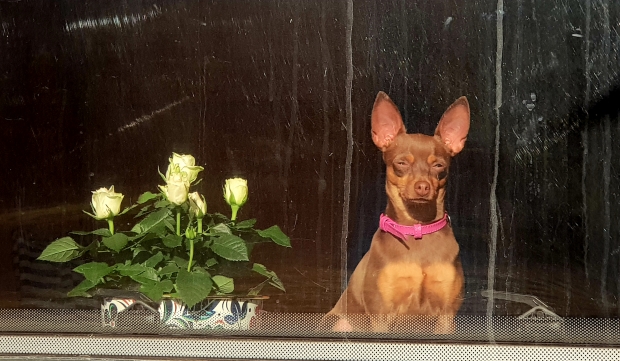 20170929_171022.jpg