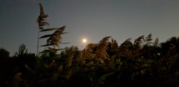 20170929_184057.jpg