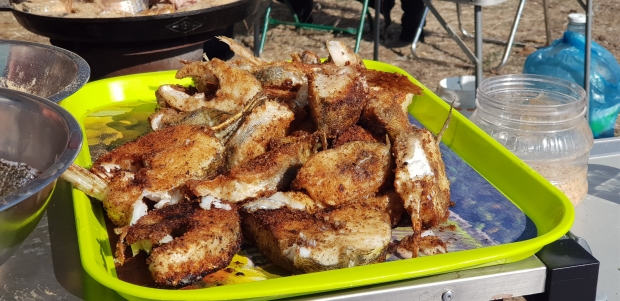 20170930_142620.jpg