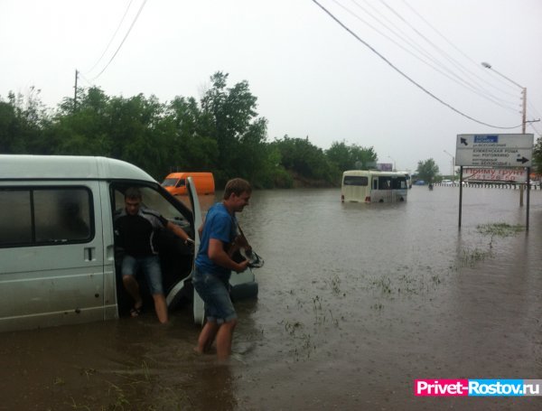 1433088779_1433084217_bezimenishgirschgi-2.jpg