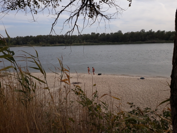 20171005_141318.jpg