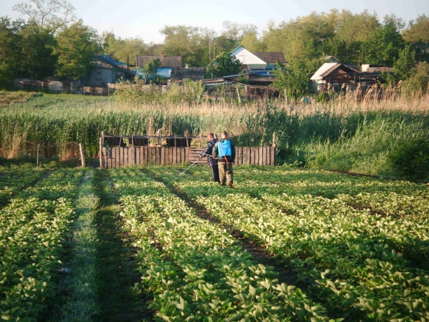 DSCF3997.jpg
