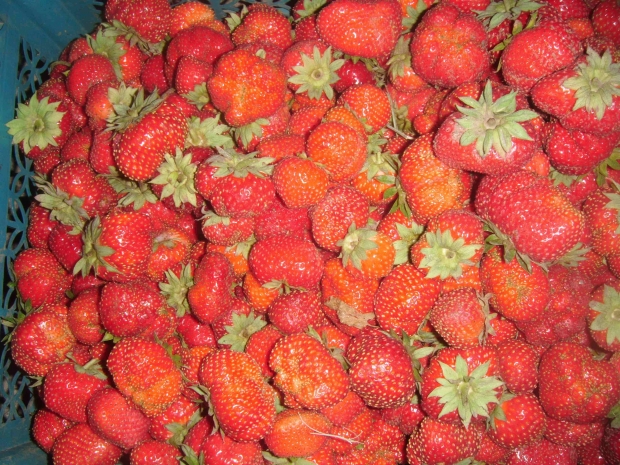 DSCF4216.jpg