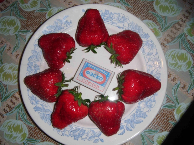 DSCF4010.jpg