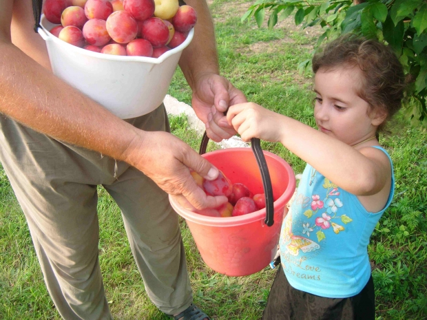 DSCF7228.jpg