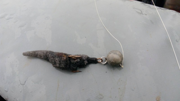 злые поклевки.jpg