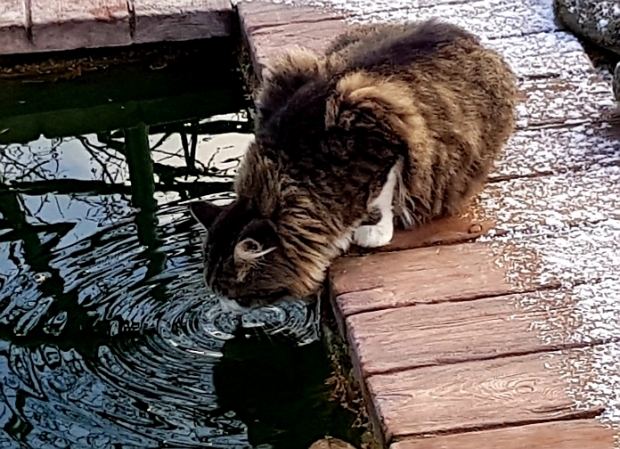 20171104_142918.jpg