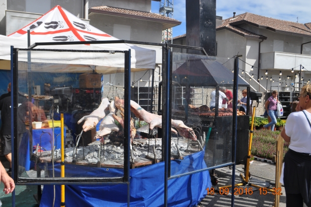 DSC_9030.JPG