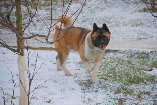 DSC_0127 коррекция.JPG