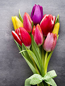 Bouquets_Tulips_Bowknot_531752_225x300.jpeg