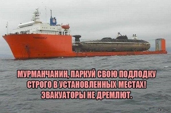 NXeOek2bXuM.jpg