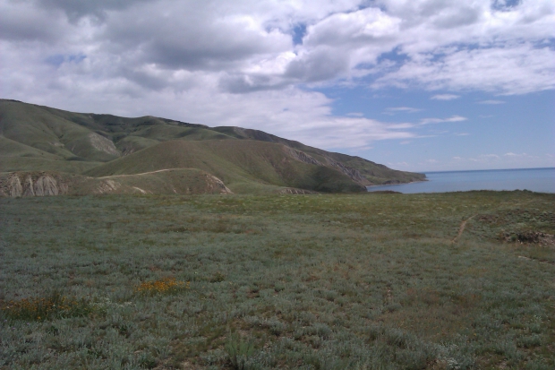 IMAG0931.jpg